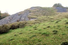 Hafod Arthen Colliery tips, October 2010